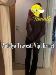 Antalya Travesti Vip Hizmet