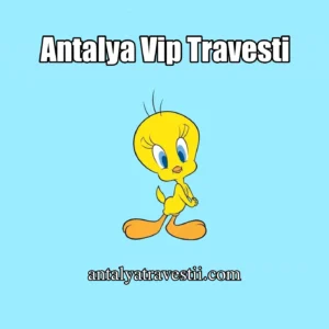 Antalya Travesti Görüşme Yapan