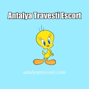 Antalya Travesti İlanları