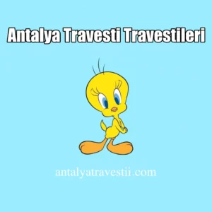 Antalya Travesti Twitter