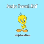 Antalya Travesti Aktif