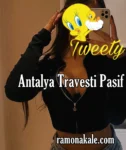 Antalya Travesti Pasif