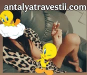 Antalya Travesti Escort