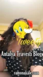 Antalya Travesti Azgın - Antalya Travesti – Gay Travestileri – Travesti Antalya Antalya Travesti Azgın