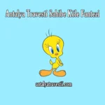 Antalya Travesti Konulu Sex