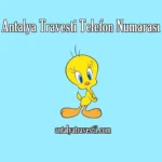 Antalya Travesti Telefon Numarası - Antalya Travesti - Antalya Escort - Gerçek Travestiler Antalya Travesti Twitter - Antalya Travesti Telefon Numarası
