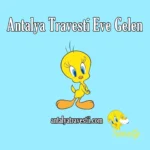 Antalya Travesti Eve Gelen - Antalya Travesti - Antalya Escort - Gerçek Travestiler antalyatravesti
