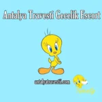 Antalya Travesti Gecelik Escort - Antalya Travesti - Antalya Escort - Gerçek Travestiler Antalya travesti güvenilir