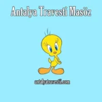 Antalya Travesti Masöz - Antalya Travesti - Antalya Escort - Gerçek Travestiler Antalya Travesti Fantezi - Antalya Travesti Masöz