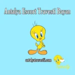 Antalya Escort Travesti Bayan - Antalya Travesti - Antalya Escort - Gerçek Travestiler Antalya Trans Escort