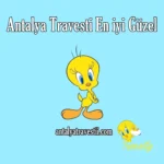 Antalya Travesti En iyi Güzel - Antalya Travesti - Antalya Escort - Gerçek Travestiler Antalya Travesti Sahile Yakın