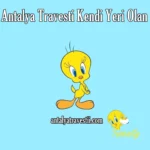 Antalya Travesti Kendi Yeri Olan - Antalya Travesti - Antalya Escort - Gerçek Travestiler Antalya Travesti Aşk Tadında