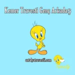 Kemer Travesti Genç Arkadaş - Antalya Travesti - Antalya Escort - Gerçek Travestiler Kemer Travesti Yeni - Kemer Travesti Genç Arkadaş