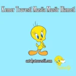 Kemer Travesti Masöz Masör Hizmeti - Antalya Travesti - Antalya Escort - Gerçek Travestiler Kemer Travesti Whatsapp - Kemer Travesti Masöz Masör Hizmeti