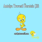 Antalya Travesti Ücretsiz Çift - Antalya Travesti - Antalya Escort - Gerçek Travestiler Antalya Travesti Sınırsız