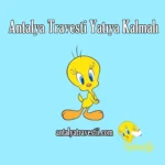 Antalya Travesti Yatıya Kalmalı - Antalya Travesti - Antalya Escort - Gerçek Travestiler Antalya Travesti Twitter