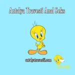 Antalya Travesti Anal Seks - Antalya Travesti - Gay Travestileri - Travesti Antalya Antalya Travesti Masaj