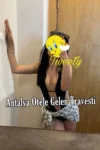 Antalya Otele Gelen Travesti - Antalya Travesti – Gay Travestileri – Travesti Antalya Antalya Otele Gelen Travesti